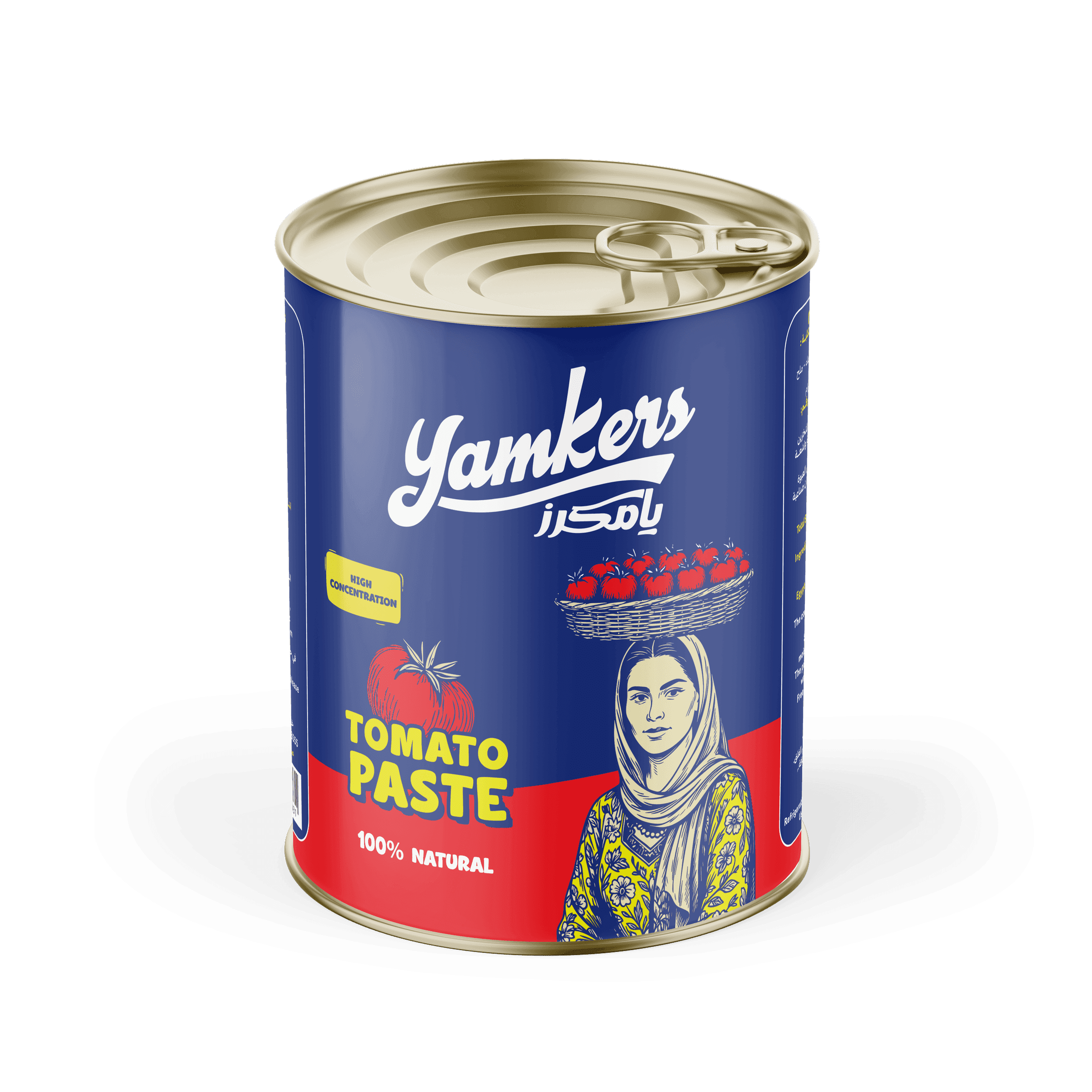 Tomato Paste 120 g Tin