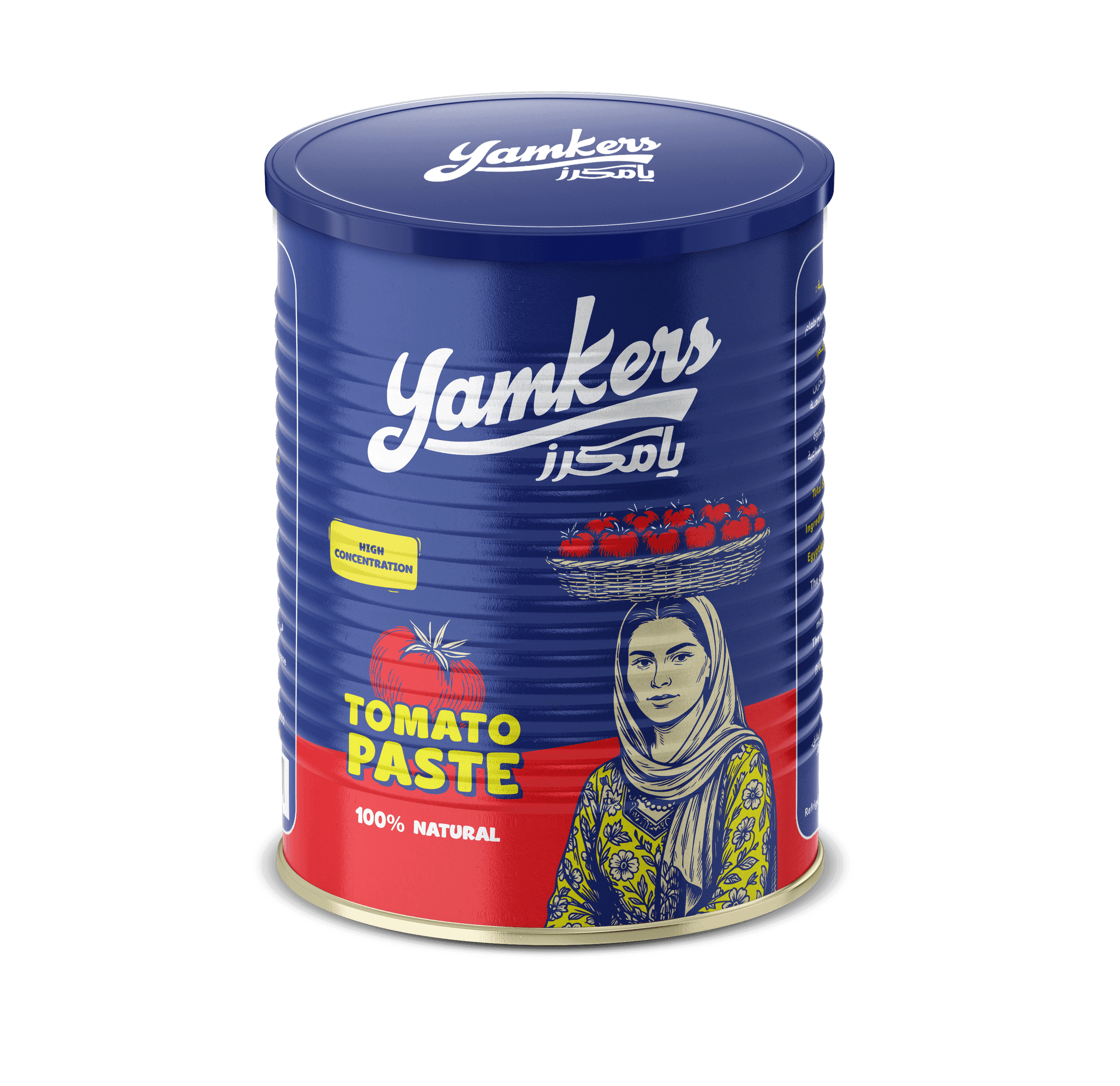 Tomato Paste 400 g Tin