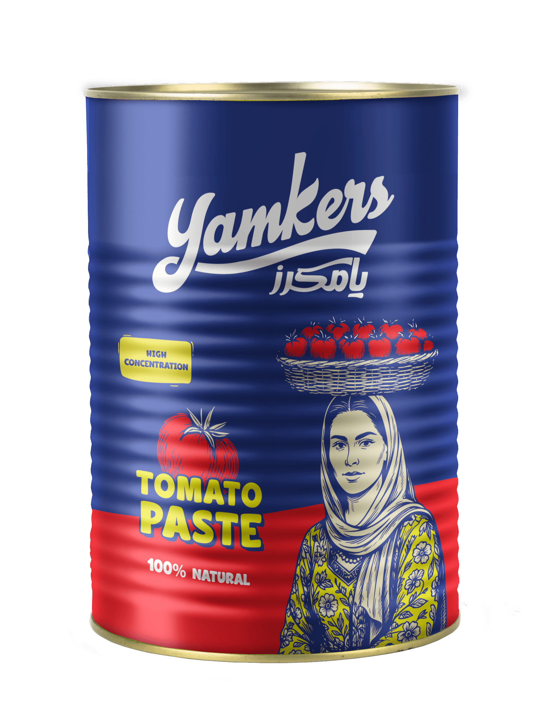 Tomato Paste 4.2 kg Tin