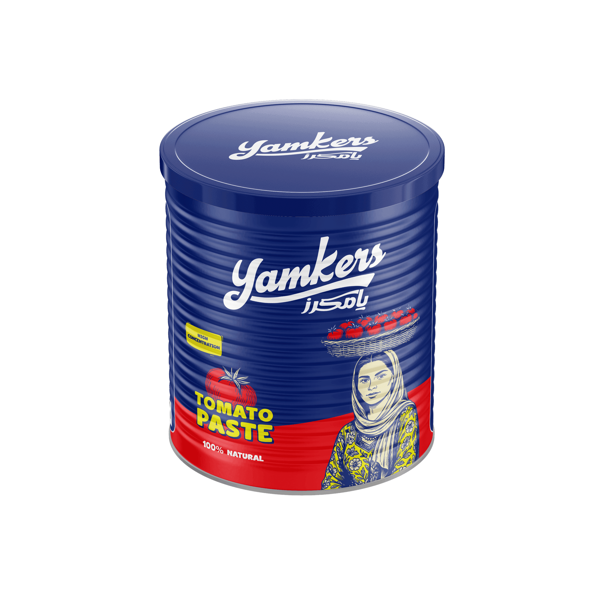 Tomato Paste 800 g Tin