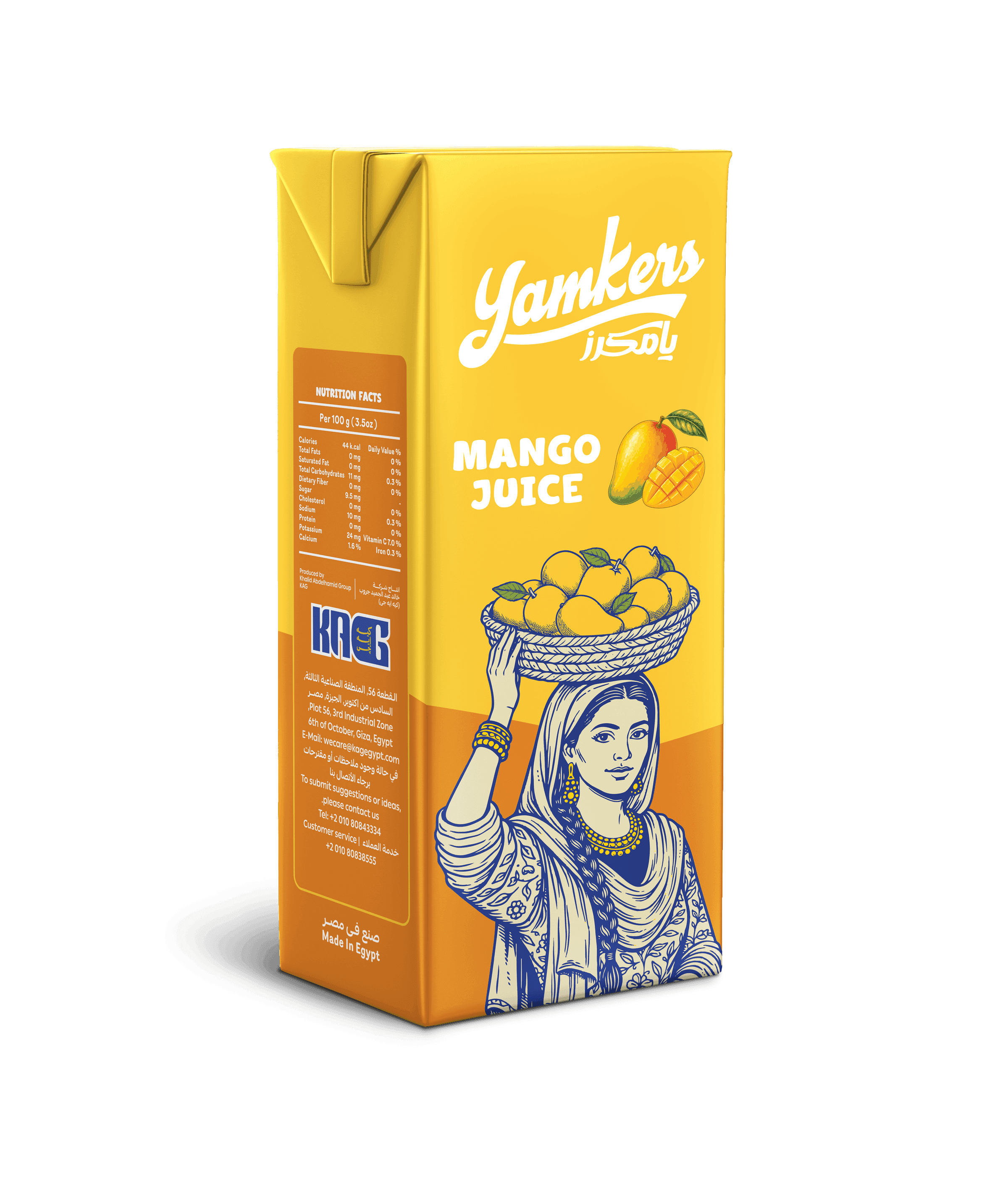 Mango Juice 235 ml
