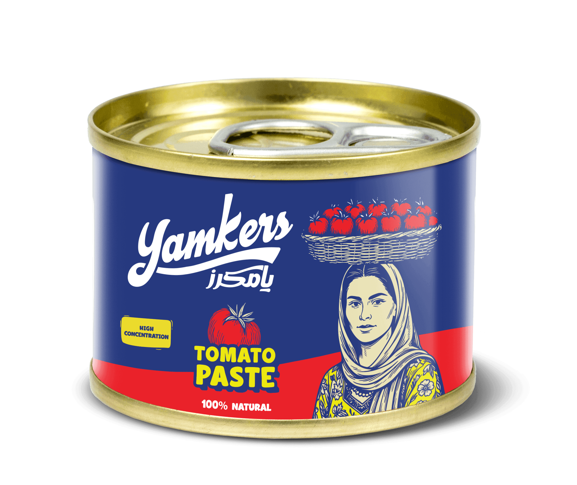 Tomato Paste 60 g Tin